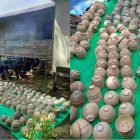 Foto:  930 buah keramik kuno di Parit Kerbau, Desa Mekar Alam, Kecamatan Seberang Kota, Kabupaten Tanjab Barat.