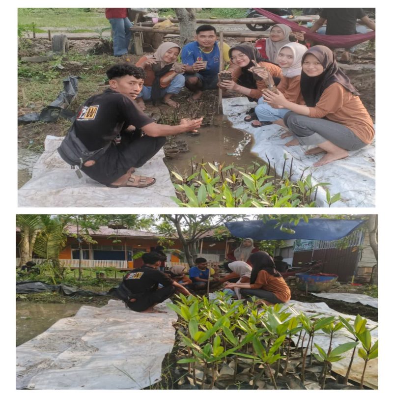 Foto : Mapala Pamsaka Melakukan Pembibitan Mangrove di Lingkungan Kampus Iai An-Nadwah Kuala Tungkal