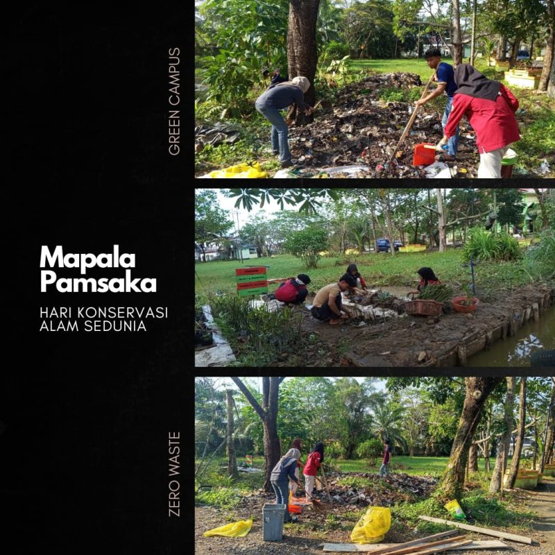 Aksi Mapala Pamsaka dalam peringatan Hari Konservasi Alam Sedunia 2025: pembibitan mangrove, bersih kampus, dan edukasi Zero Waste.