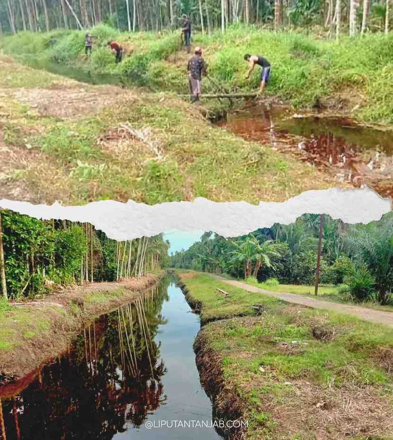 Warga RT 07 Dusun Agung, Desa Sungai Tarap, Kecamatan Betara, bergotong royong membersihkan parit lingkungan sebagai upaya menjaga kebersihan saluran air dan mendukung program kebersihan lingkungan.