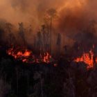 Kebakaran hutan dan lahan (karhutla) melanda kawasan vegetasi, dengan kobaran api dan kepulan asap tebal yang menyelimuti area sekitar. Kondisi ini menggambarkan ancaman karhutla yang kembali terjadi di Provinsi Jambi selama musim kemarau 2026.