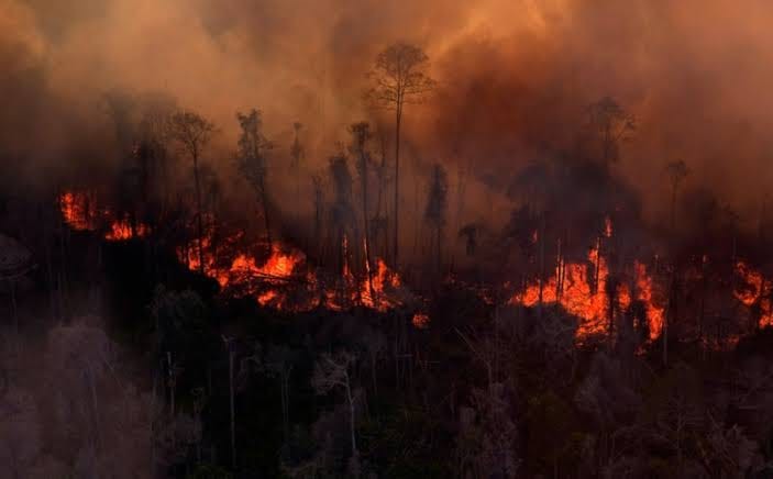 Kebakaran hutan dan lahan (karhutla) melanda kawasan vegetasi, dengan kobaran api dan kepulan asap tebal yang menyelimuti area sekitar. Kondisi ini menggambarkan ancaman karhutla yang kembali terjadi di Provinsi Jambi selama musim kemarau 2026.