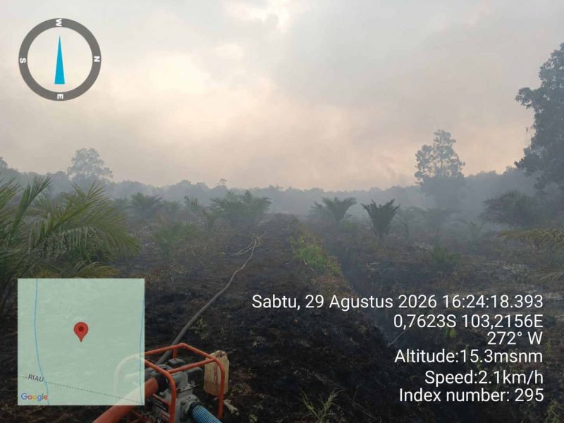 Karhutla melanda Parit Bingkok, Tanjabbar, Sabtu (29/8/2026). Asap tebal menyelimuti lahan yang terbakar.